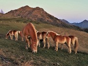 74 Con gli amici cavalli della Forcella di Spettino salutiamo il Monte Gioco 